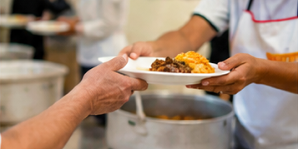   Alimentación